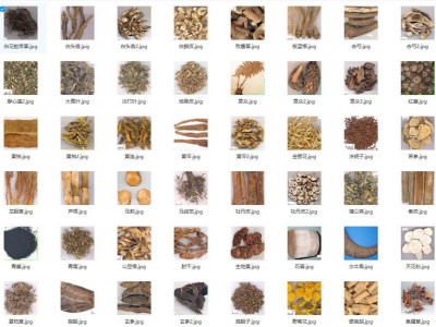 倪海厦看图识药材